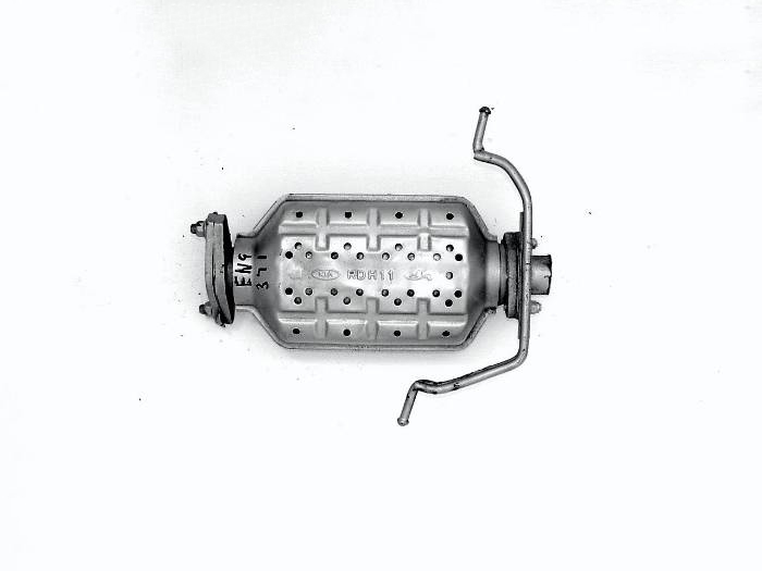 Image of catalyst RDH11